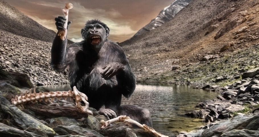 Image of Australopithecus, a genus of early hominins that existed in Africa during the Late Pliocene and Early Pleistocene.