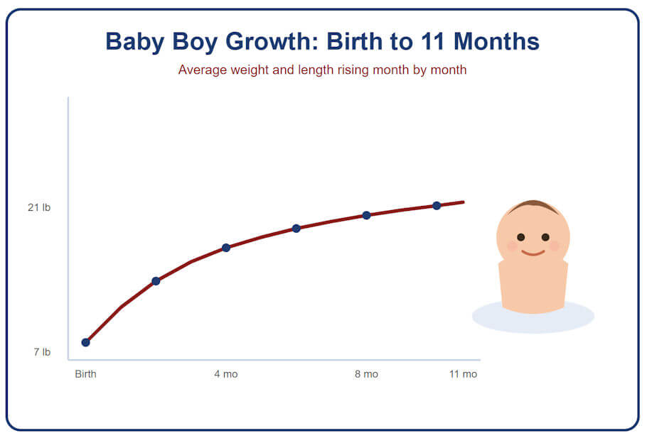 This image is set on a white card with a rounded navy-blue border and a pale blue background. Centered at the top, a bold dark-blue heading reads Baby Boy Growth: Birth to 11 Months, and just beneath it a smaller dark-red subtitle reads Average weight and length rising month by month.