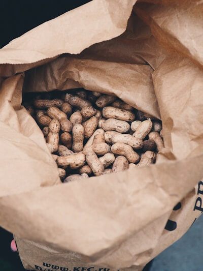 Large paper bag filled with un-shelled peanuts