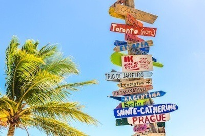 Directional signs to world cities on a wooden pole by the palm tree at Long Bay Beach, Turks and Caicos Islands.