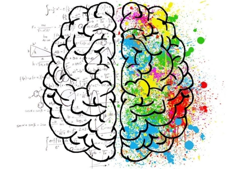 Illustration of the two halves of the human brain. The left half is in black and white and shows mathematical formulas; the right half is depicted in multiple colors.
