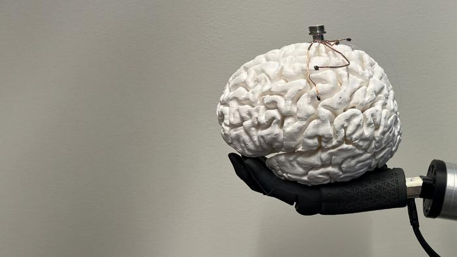 An image showing one of the brain-computer interfaces, BCIs, that has been developed in parallel for touch and vision restoration for the last 50 years, on a model brain. The brain sits on a prosthetic hand, used for touch restoration.