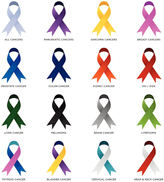 16 different colored cancer type awareness ribbons.