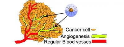 Cancer cell diagram - Image Graphic courtesy of Oregon State University.