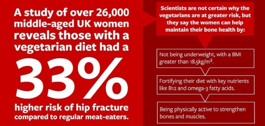 Infographic regarding diet and hip fracture. The transcript reads: A study of over 26,000 middle-aged UK women reveals those with a vegetarian diet had a higher risk of hip fracture compared to regular meat-eaters. Scientists are not certain why the vegetarians are at greater risk, but they say the women can help maintain their bone health by Not being underweight, with a BMI greater than 18.5kg/m2. Fortifying their diet with key nutrients like B12 and omega-3 fatty acids. Being physically active to strengthen bones and muscles Image Credit: University of Leeds.