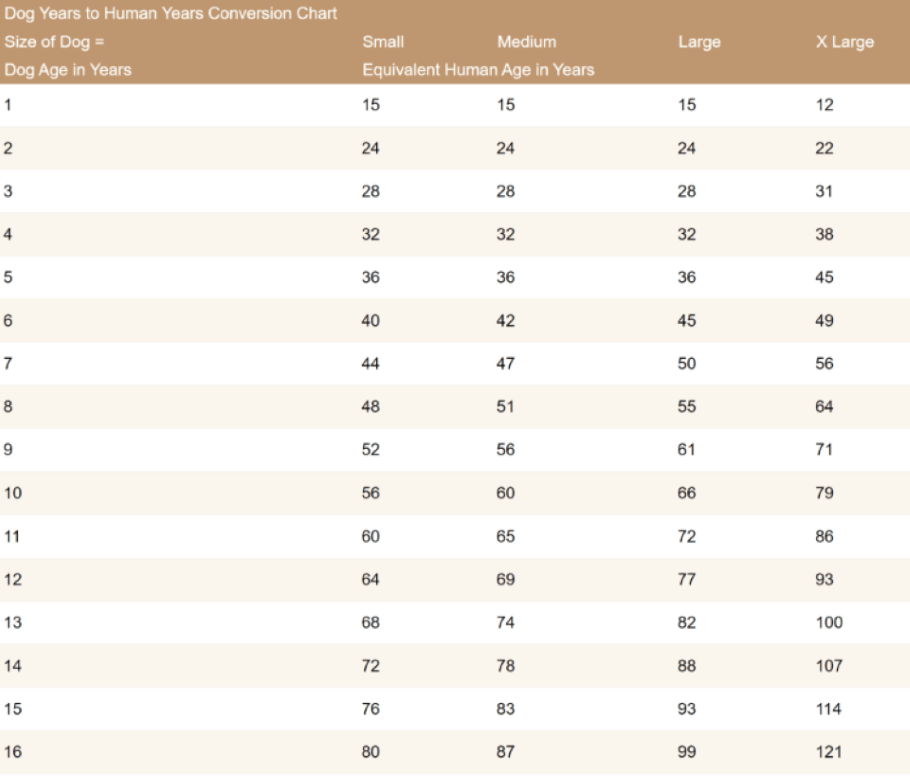 Convert Dog to Human Age Chart and Calculator | Disabled World