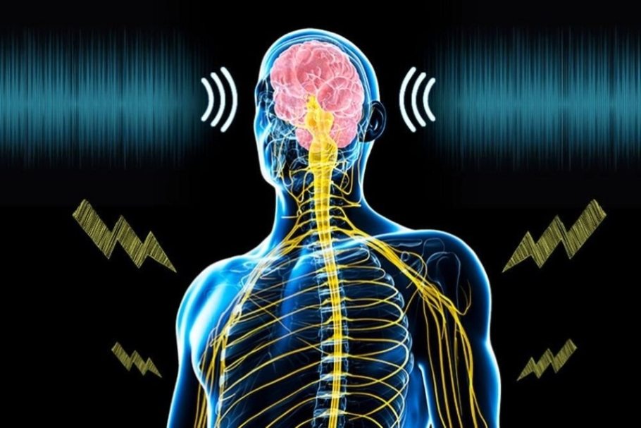 A University of Minnesota Twin Cities-led team has found that electrical stimulation of the body combined with sound activates the brain’s somatosensory cortex, increasing the potential for using the technique to treat chronic pain and other sensory disorders - Image Credit: SONIC Lab, University of Minnesota.