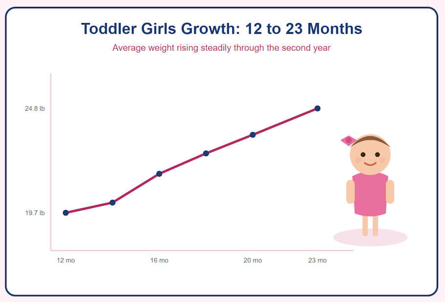 This infographic features a white card with a rounded navy-blue border and a soft pink background. Centered at the top, a bold dark-blue heading reads Toddler Girls Growth: 12 to 23 Months, and just beneath it a smaller rose-pink subtitle reads Average weight rising steadily through the second year.