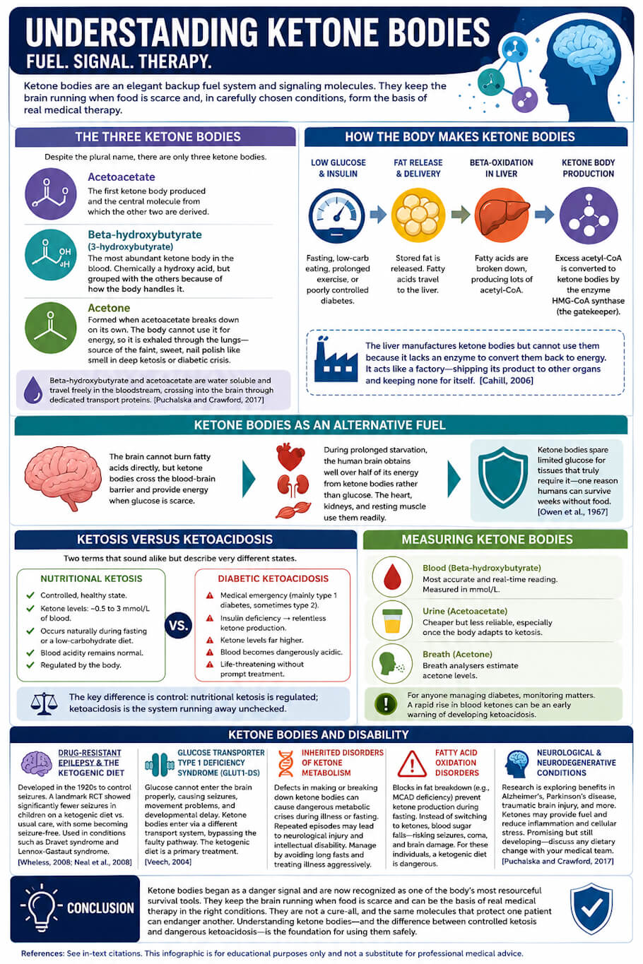 The image is a vertically oriented, professionally designed medical infographic titled Understanding Ketone Bodies.