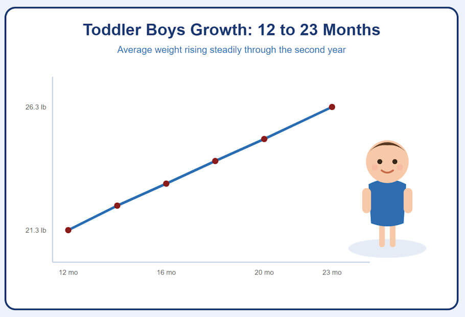 This illustration features a white card with a rounded navy-blue border and a pale blue background. Centered at the top, a bold dark-blue heading reads Toddler Boys Growth: 12 to 23 Months, and just beneath it a smaller medium-blue subtitle reads Average weight rising steadily through the second year.