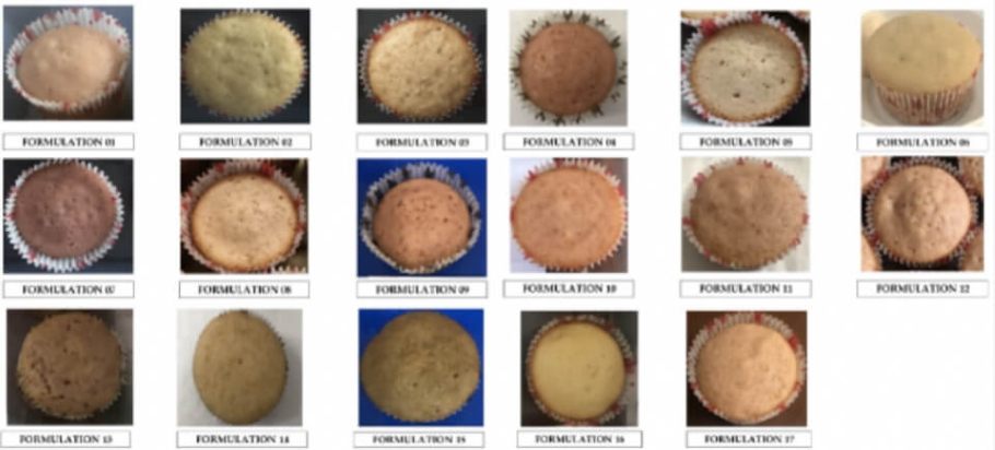 Figure 1. Images of 17 Roselle muffins obtained with different formulation combinations. Researchers tested different formulations of muffins containing a plant extract to see which variety appealed most. Screenshot from: Nutritionally Enriched Muffins from Roselle Calyx Extract Using Response Surface Methodology. Foods. 2022; 11(24):3982.