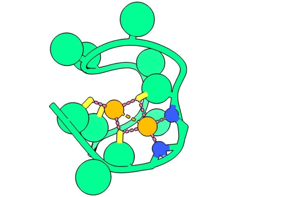 A computer rendering of the Nickelback peptide shows the backbone nitrogen atoms (blue) that bond two critical nickel atoms (orange). Scientists who have identified this part of a protein believe it may provide clues to detecting planets on the verge of producing life - Image Credit: The Nanda Laboratory.