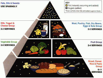 Pyramid Food Group Chart