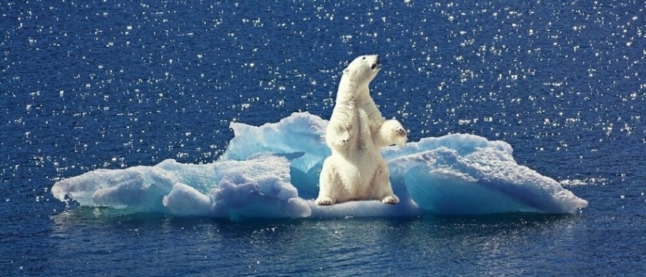 A polar bear sits on what little ice remains of a melting iceberg.