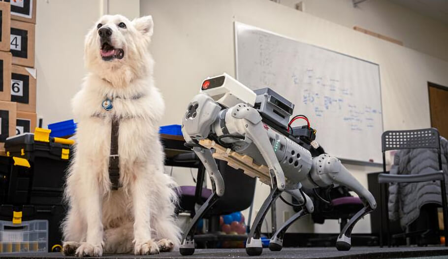 Guide dog and robotic guide dog - Image Credit: Zinj Guo.