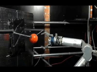 Monkeys were trained to use their thoughts to move a robotic arm and grasp a ball - (Nicho Hatsopoulos, Karthikeyan Balasubramanian).