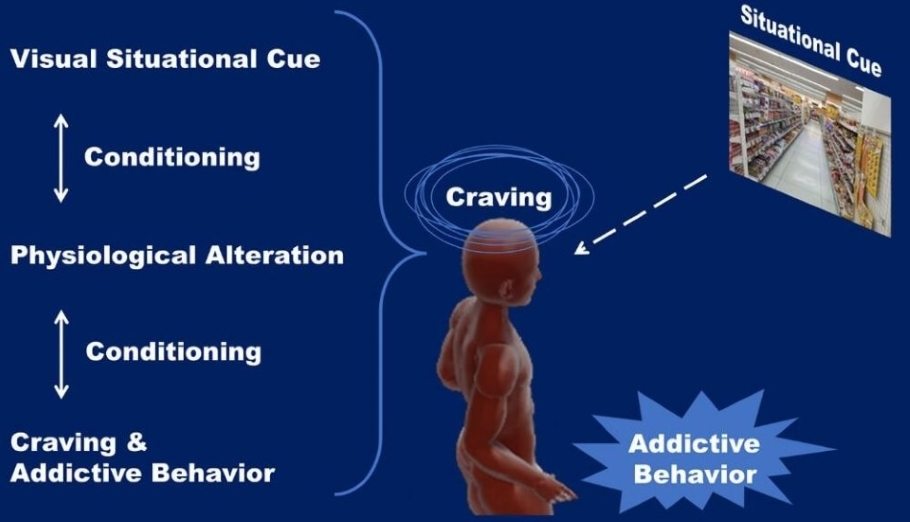Figure 2. Situational cues: Visual situational cues influence physiological alteration causing craving and addictive behavior - Image Credit: KyotoU/Yukiori Goto.