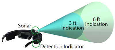 Diagram of Sonar Glasses Range